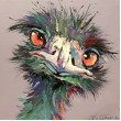 Emu 29